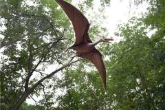 dino