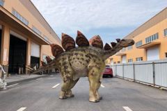 steg2